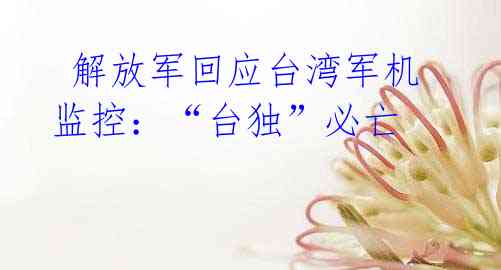 解放军回应台湾军机监控:“台独”必亡