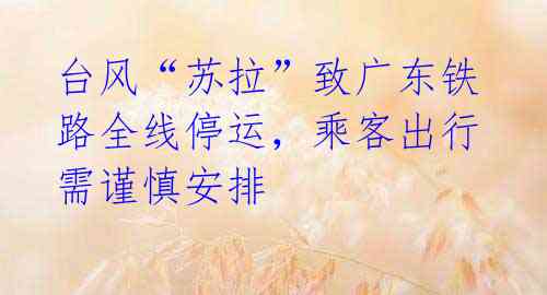 台风“苏拉”致广东铁路全线停运,乘客出行需谨慎安排