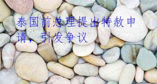 泰国前总理提出特赦申请,引发争议