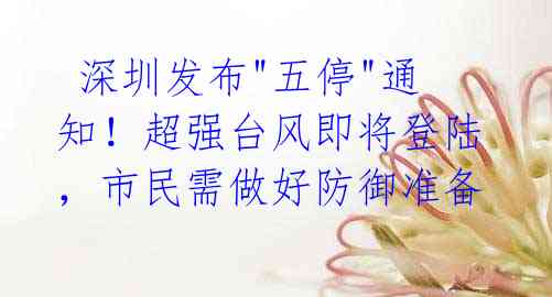 深圳发布"五停"通知!超强台风即将登陆,市民需做好防御准备