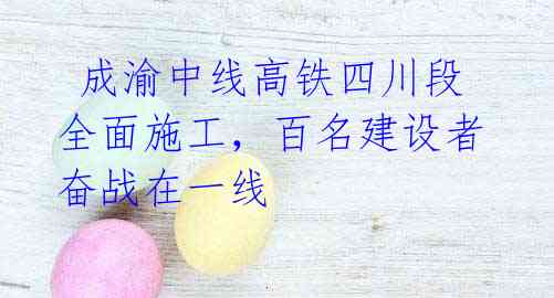  成渝中线高铁四川段全面施工，百名建设者奋战在一线