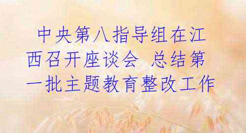  中央第八指导组在江西召开座谈会 总结第一批主题教育整改工作 