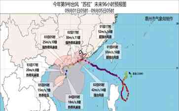  台风"苏拉"逼近广东 惠州沿海防风抗台准备加强 