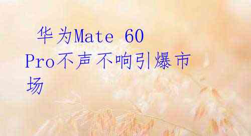  华为Mate 60 Pro不声不响引爆市场 