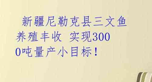 新疆尼勒克县三文鱼养殖丰收 实现3000吨量产小目标!