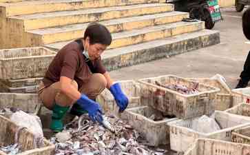  山东开海后海鲜市场交易狂潮再度掀起 