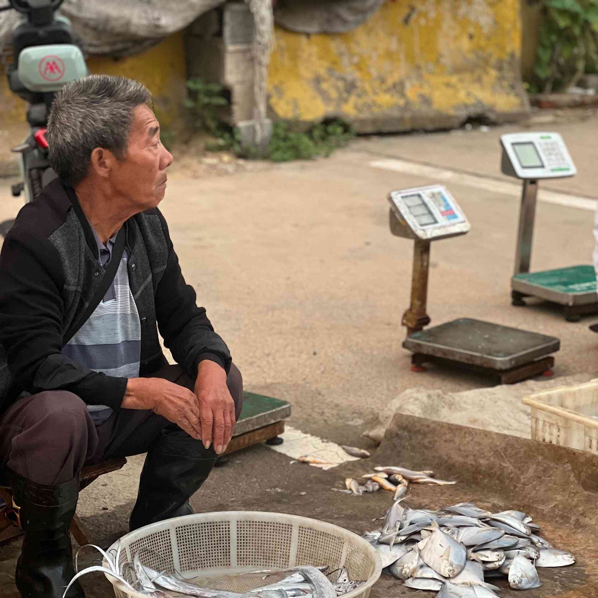 山东开海后海鲜市场交易狂潮再度掀起
