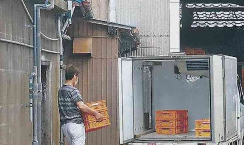  日本餐厅爆集体中毒，食品安全问题再次引发关注 