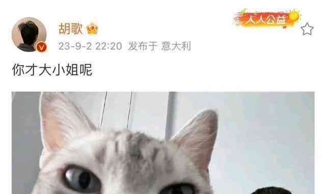 胡歌晒夕阳照引起猜测,曝光真相引发网友调侃