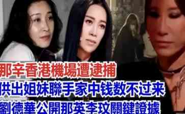 那英姐姐那辛被捕 被曝节目组黑幕牵涉刘德华