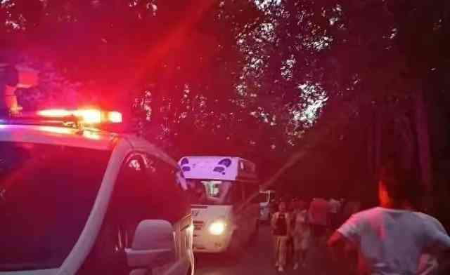 重庆一家三口离奇死亡,患抑郁症女子自杀双亲Y一氧化碳中毒