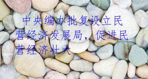 中央编办批复设立民营经济发展局,促进民营经济壮大