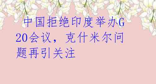  中国拒绝印度举办G20会议，克什米尔问题再引关注 