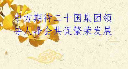 中方期待二十国集团领导人峰会共促繁荣发展