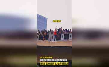 天津大爷爆红狮子林桥!跳水热潮引围观,小伙冒险自拍“晕”