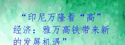  “印尼万隆看“高”经济：雅万高铁带来新的发展机遇”