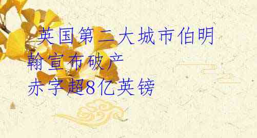英国第二大城市伯明翰宣布破产 赤字超8亿英镑