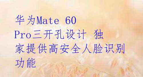 华为Mate 60 Pro三开孔设计 独家提供高安全人脸识别功能 