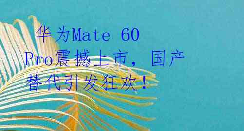  华为Mate 60 Pro震撼上市，国产替代引发狂欢！ 