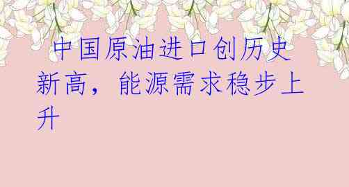 中国原油进口创历史新高,能源需求稳步上升