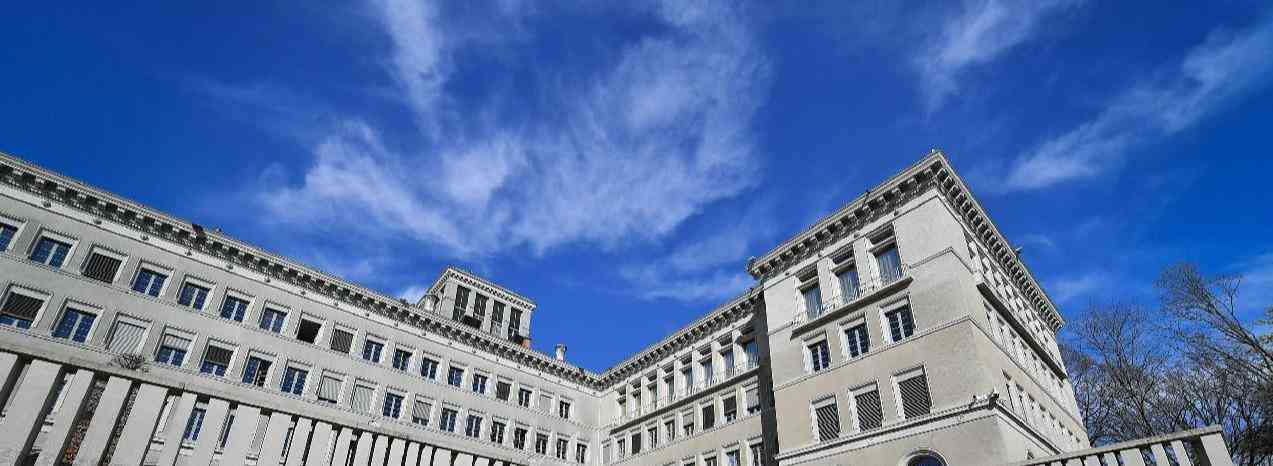 日本向WTO提交文件 要求中国撤销进口管制