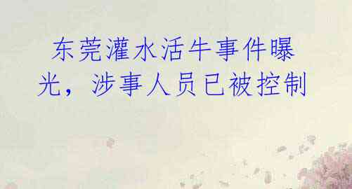 东莞灌水活牛事件曝光,涉事人员已被控制