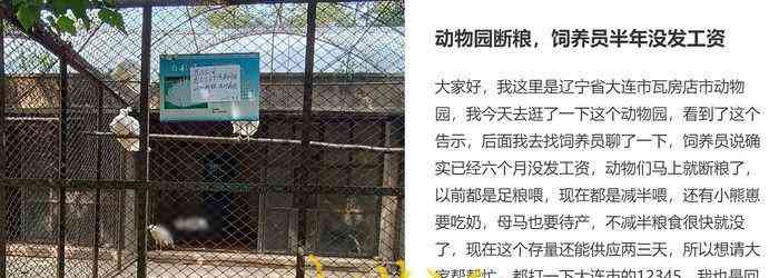 辽宁动物园惨遭饲养员拖欠工资 半年未付款动物或断粮濒危