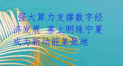  强大算力支撑数字经济发展 塞上明珠宁夏成为新动能集聚地 