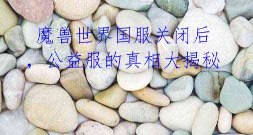 魔兽世界国服关闭后,公益服的真相大揭秘