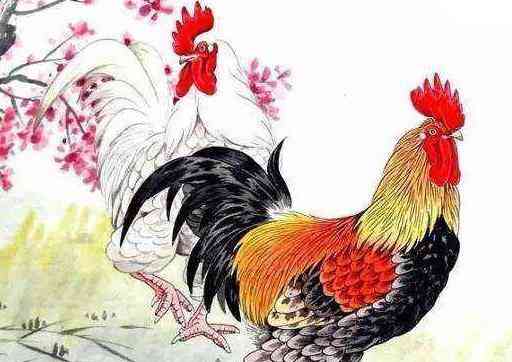 财神赖着不走!属鸡和属猪迎来红火日子