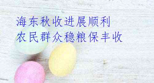 海东秋收进展顺利 农民群众稳粮保丰收