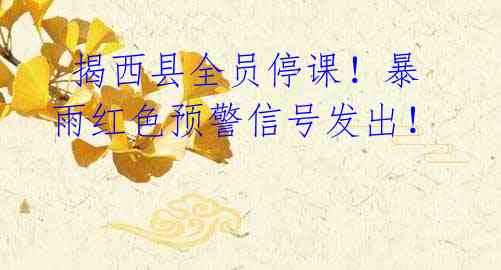 揭西县全员停课!暴雨红色预警信号发出!