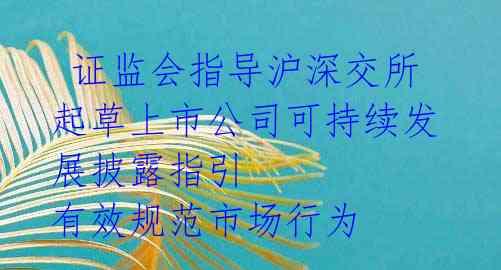  证监会指导沪深交所起草上市公司可持续发展披露指引 有效规范市场行为 