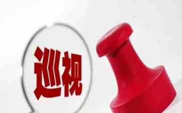 浙江省委巡视组进驻30个单位党组织开展巡视