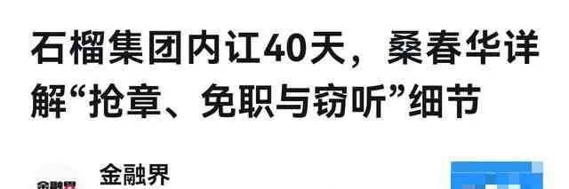  热辣女董事长爆料！云核变量集团桑春华饭局4P争议引关注 