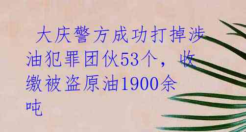  大庆警方成功打掉涉油犯罪团伙53个，收缴被盗原油1900余吨 