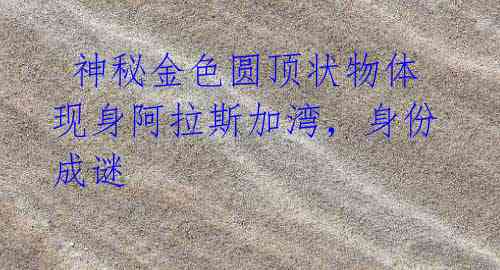 神秘金色圆顶状物体现身阿拉斯加湾,身份成谜