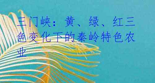 三门峡:黄、绿、红三色变化下的秦岭特色农业