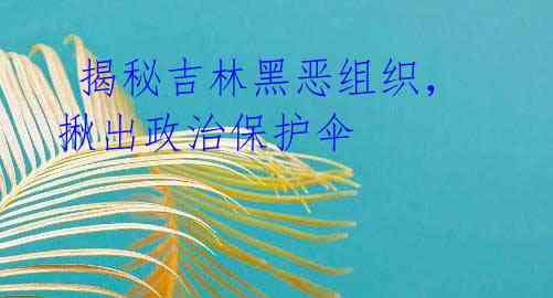 揭秘吉林黑恶组织,揪出政治保护伞