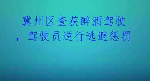 冀州区查获醉酒驾驶,驾驶员逆行逃避惩罚