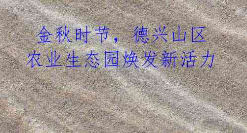 金秋时节,德兴山区农业生态园焕发新活力