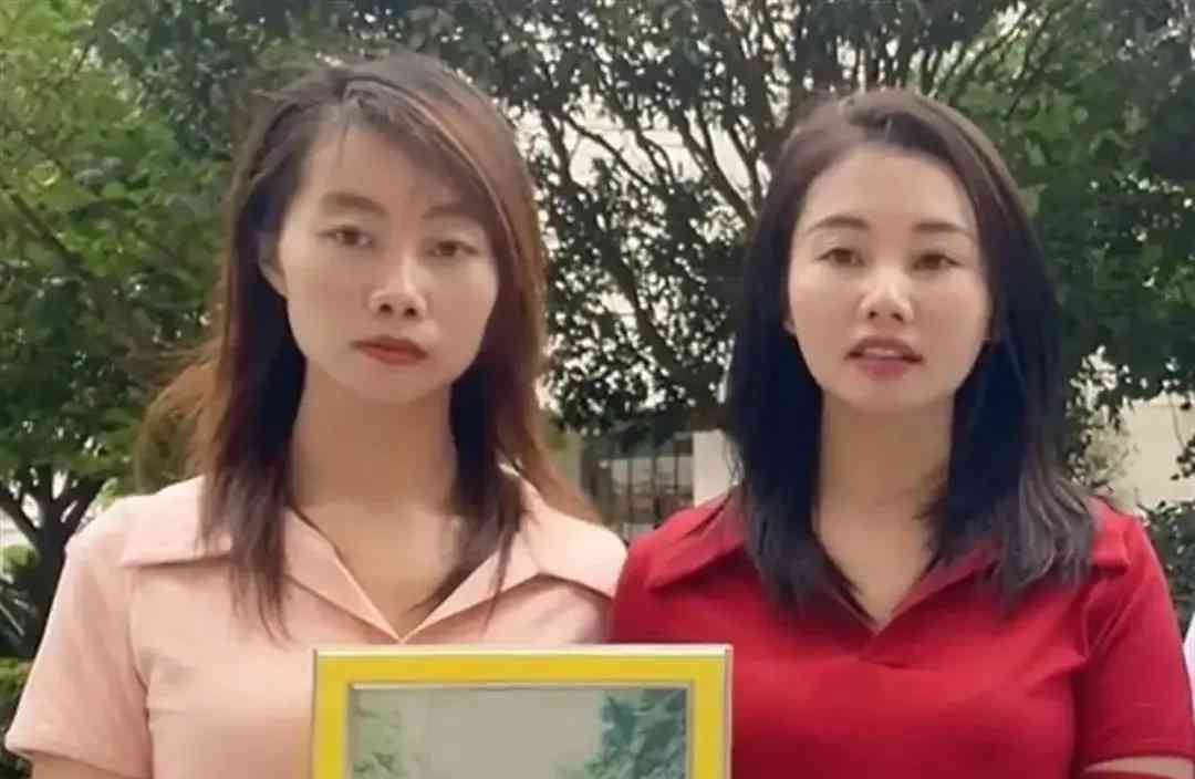 女童被拐卖案涉案人或面临死刑,姐妹俩为寻亲家长帮助扩散信息