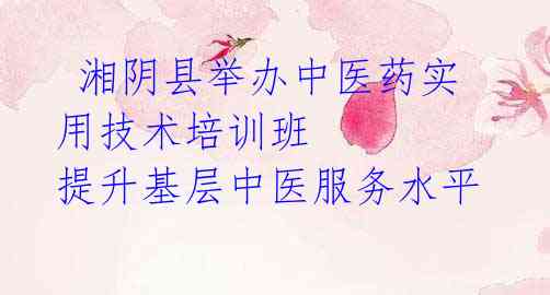 湘阴县举办中医药实用技术培训班 提升基层中医服务水平