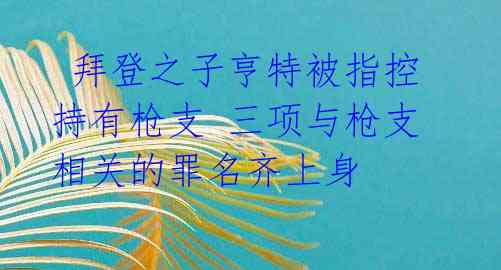 拜登之子亨特被指控持有枪支 三项与枪支相关的罪名齐上身
