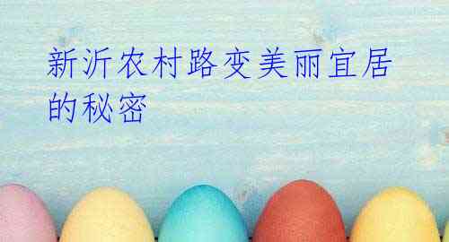 新沂农村路变美丽宜居的秘密