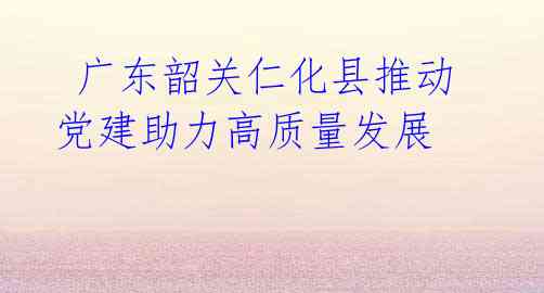 广东韶关仁化县推动党建助力高质量发展