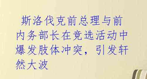 斯洛伐克前总理与前内务部长在竞选活动中爆发肢体冲突,引发轩然大波