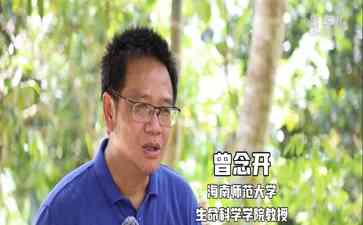 真菌的冷知识:为什么蘑菇更接近动物?