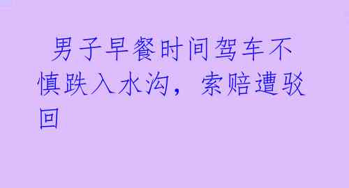 男子早餐时间驾车不慎跌入水沟,索赔遭驳回