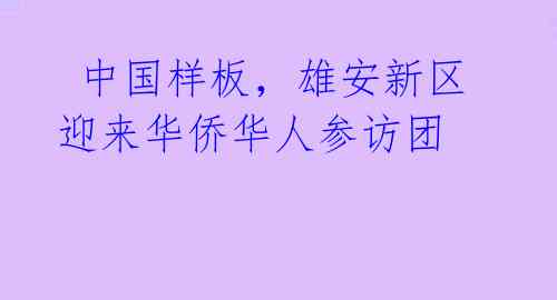 中国样板,雄安新区迎来华侨华人参访团